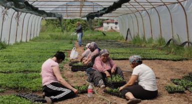 Büyükşehir’den % 75 hibeli tarım desteği