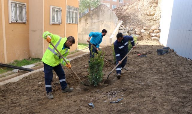 İstinat duvarı alanı yeşillendirildi