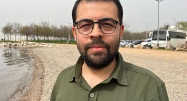 Ölü yunuslar kıyıya vuruyor, sebebi şok etti