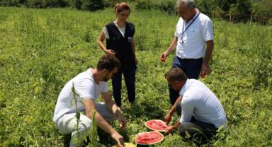 Üreticilere karpuz tohumu desteği