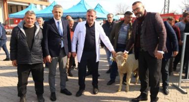Yüzde 50 hibeli destekle çiftçiye koç ve teke veriliyor
