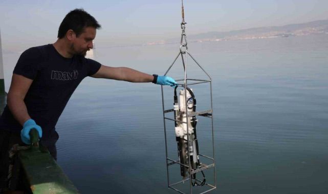 İzmit Körfezi’nde biyoçeşitlilik araştırması sürüyor