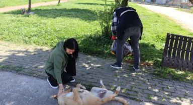 Sokak hayvanlarını unutmadılar