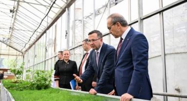 Vali Yavuz, Ağaçlandırma Çalışmaları Hakkında Brifing Aldı