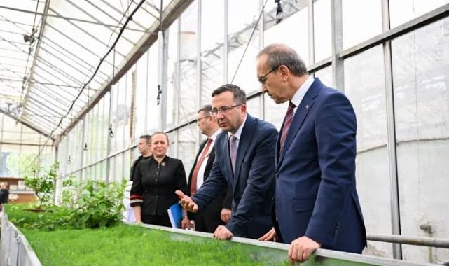 Vali Yavuz, Ağaçlandırma Çalışmaları Hakkında Brifing Aldı