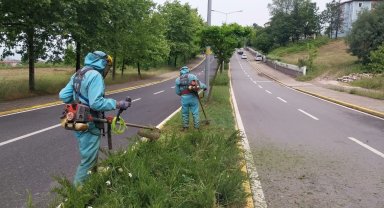 Başiskele yaza hazırlanıyor