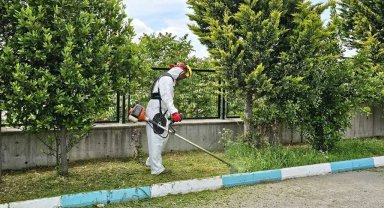 Dilovası'nda yaz temizliği başladı