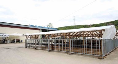 Modern hayvan pazarına kurbanlıklar gelmeye başladı