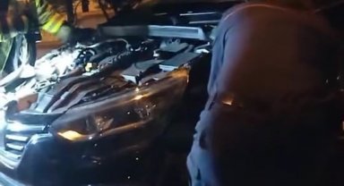 Otomobile giren yılan böyle çıktı
