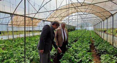 Sahaya inip üreticiler ile bir araya geldiler