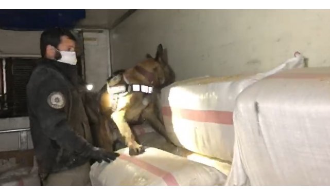 Saman yüklü tırda 99 kilo eroinin sevkiyatını yapan sanıkların cezası belli oldu