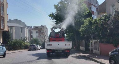 Çayırova'da vektörle mücadele sürüyor