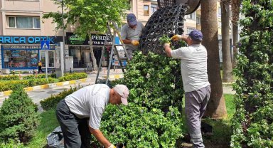 Darıca'da Kurban Bayramı öncesi hummalı çalışma sürüyor