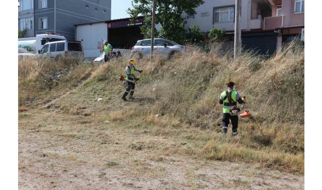 Darıca'da yaz temizliği başladı
