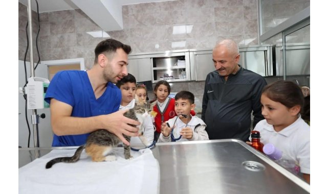Gebze'de 309 patili can yeni yuvalarına kavuştu