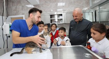 Gebze'de 309 patili can yeni yuvalarına kavuştu