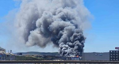 Kocaeli'de fabrika alev alev yanıyor