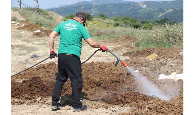 Kurban satış alanları ilaçlanıyor