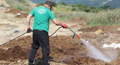 Kurban satış alanları ilaçlanıyor