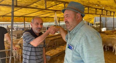 Modern Hayvan Pazarı'nda kurbanlık alışverişi devam ediyor