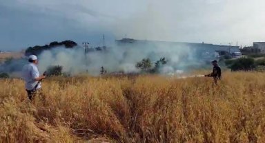 Yulaf tarlasında yangın