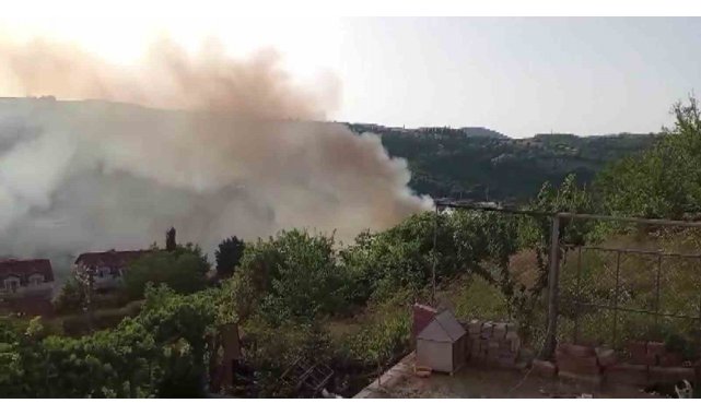 Araçta başlayan yangın ağaçlık alana sıçradı