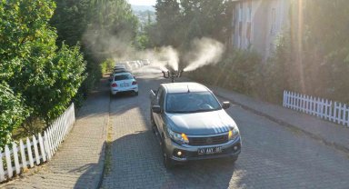 Başiskele'de vektörle mücadele başladı