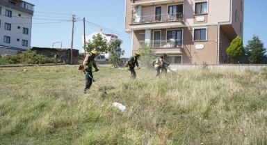 Çayırova’da yabani ot temizliği