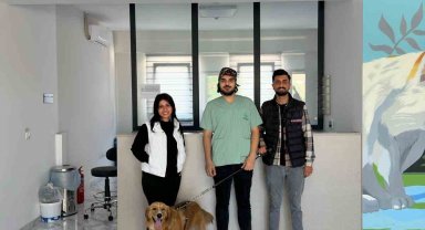 Çayırova'da 70 sokak hayvanı yeni yuvalarına kavuştu