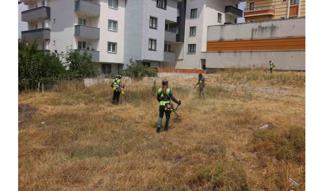 Çayırova'da yabani otlar temizleniyor