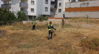 Çayırova'da yabani otlar temizleniyor