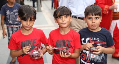 Festival coşkusu: 1 ton kiraz dağıtılacak
