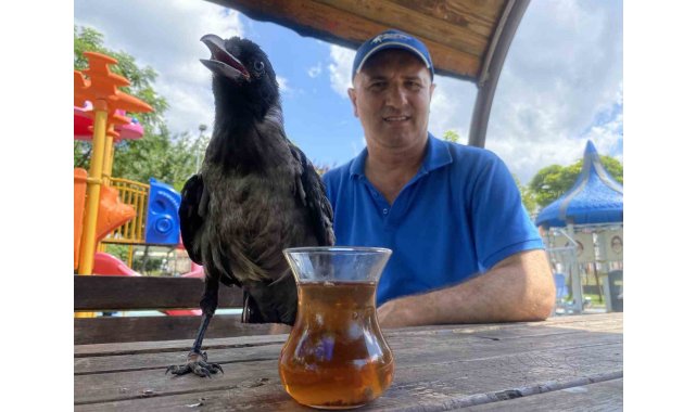 Karga, Rize çayı dışında bir şey içmiyor