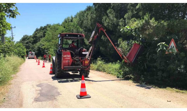 Yol kenarındaki otlar ve çalılar temizleniyor