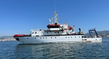 İzmit Körfezi'nde deniz ekosistemi hayat buluyor