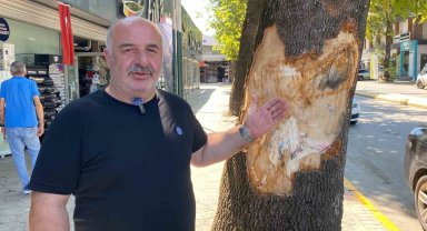 Kamyon faciasından canlarını son anda kurtardılar
