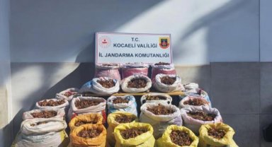 Fındık hırsızları kıskıvrak yakalandı