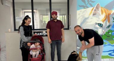 10 ayda 170 can dostumuza yuva bulund