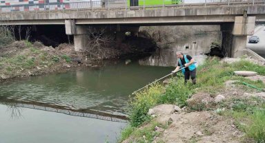 İzmit Körfezi'ne akan 12 dere yakından izleniyor