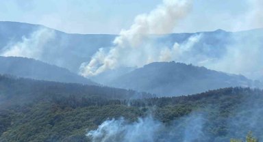 963 personel, 16 hava aracı ile Karamürsel'deki yangına büyük seferberlik