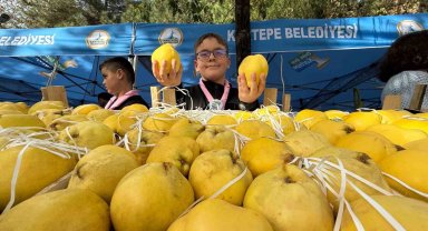 Kalitesiyle ünlü Eşme ayvası, festivalle görücüye çıktı