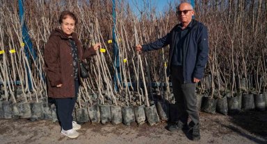 75 üreticiye 3 bin 600 fidan