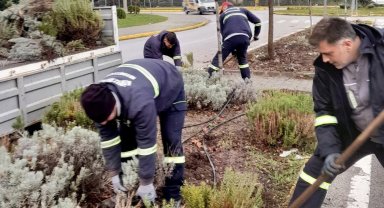 Körfez'de yeşil alanlar çiçeklerle süsleniyor