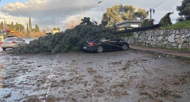 Gebze'de fırtınada iki otomobilin üzerine ağaç devrildi