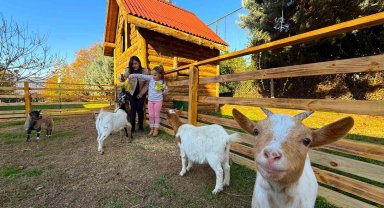 Keçi, ördek, tavuk, tavşan: Hepsinin görevi "Çok özel"