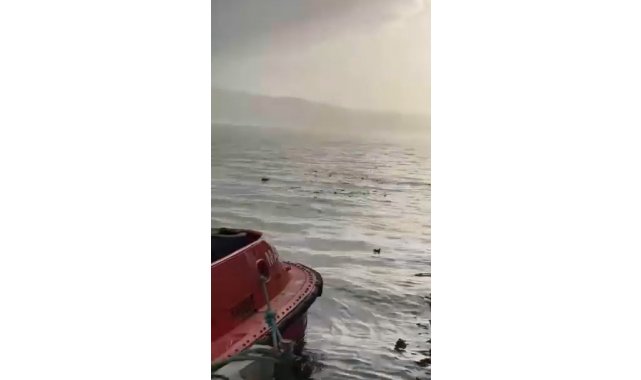 Denizi şehir çöplüğüne çevirdiler