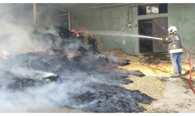 Harada çıkan yangında 70 balya saman yandı