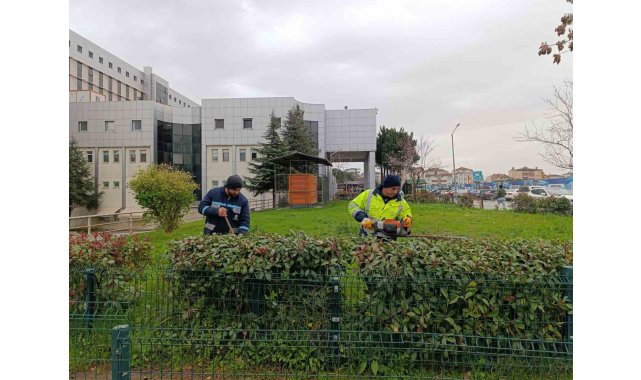 Hastane bahçelerinde budama ve bakım çalışması yapılıyor