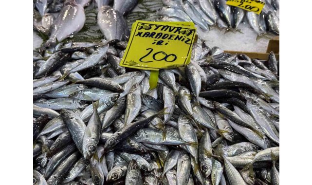 Kocaeli'de balık tezgahlarındaki son durum