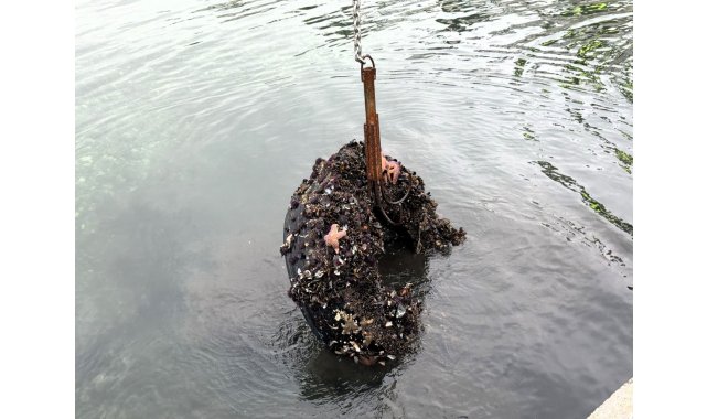 Kocaeli'de deniz dibinden 50 lastik çıktı